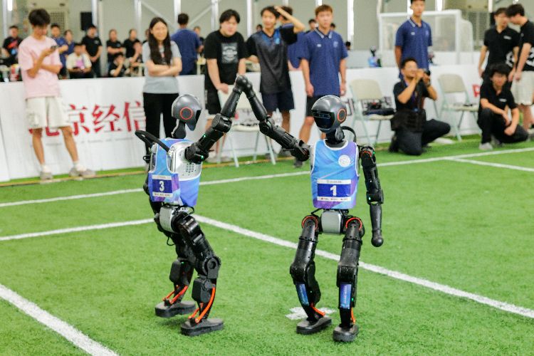 src, E组包括霹